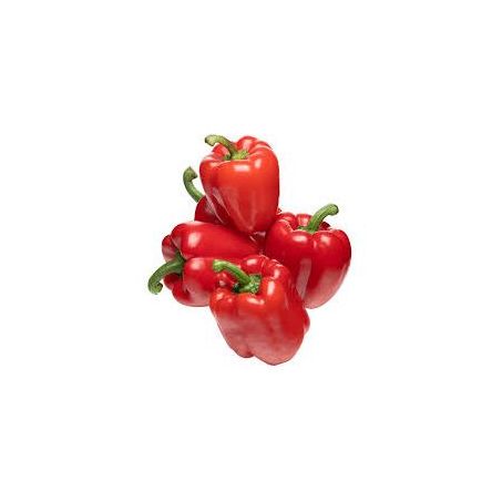 PIMENTAO TREBESCHI BLOCK VERMELHO