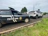 Polícia Argentina prende suspeito de homicídio em Dionísio Cerqueira