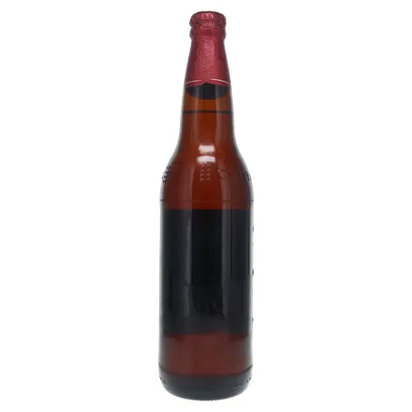 Cerveja Brahma Duplo Malte Garrafa 600ml 360-19