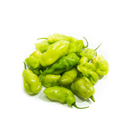 PIMENTA CHEIRO KG