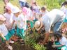Alunos fazem visita ao Lago Municipal e participam de plantio de árvores em Cedro