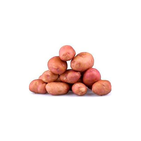 Batata Rosa Kg