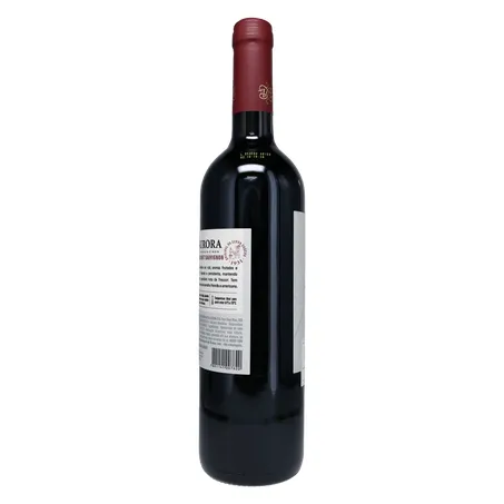 VINHO TINTO AURORA CABERNET SAUVIGNON 750ML 360-24