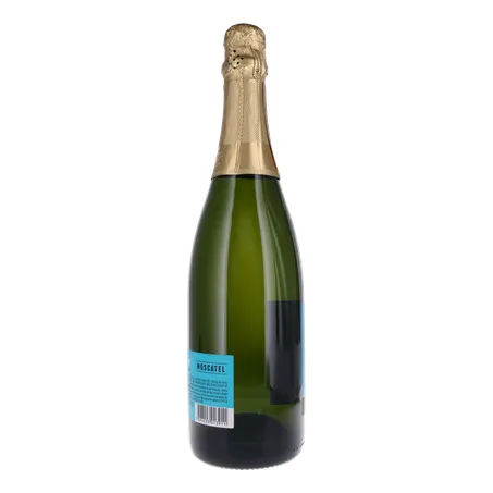 ESPUMANTE SALTON SERIES MOSCATEL 750ML 360-24
