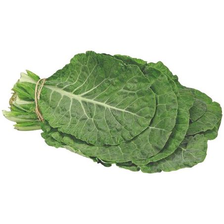 Couve verde Hortiquiles