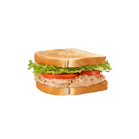 LANCHE SANDUICHE NATURAL BIG 160G
