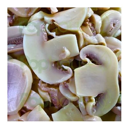 CHAMPIGNON FATIADO  - POP HOUSE