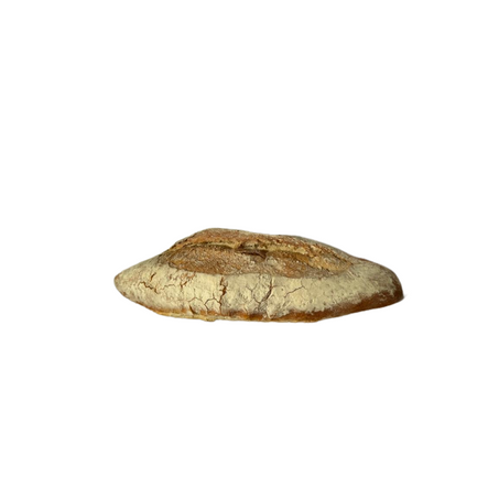 Pao baguete italiano longa fermentacao kg