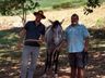 Grupo de criadores de Cavalo Campeiro realizam encontro em Tunápolis 