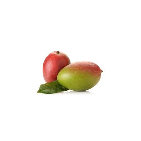 Manga Palmer 500g