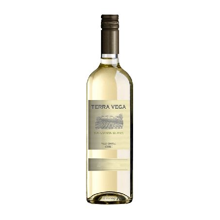 VINHO FINO BC SECO TERRA VEGA 750ML SAUVIG BLANC