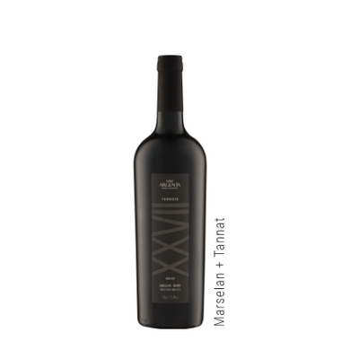 Vinho terroir marsellan+tannat xxvii luiz argenta 750ml