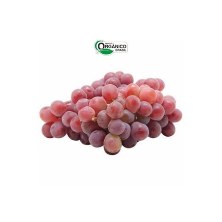 UVA CAORE 500G NIÁGARA ROSA ORGÂNICAS