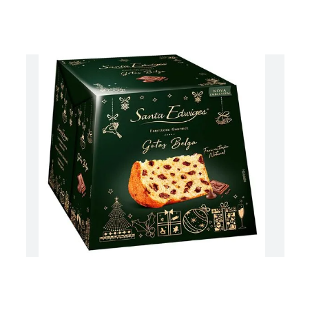 Panettone santa edwiges 500g avela