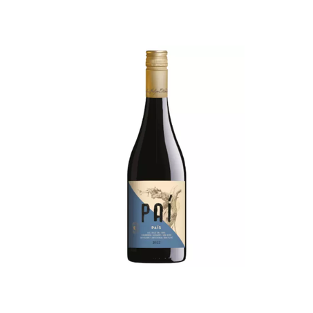 VINHO PAI PAIS TINTO SECO VALLE DO ITATA 750ML