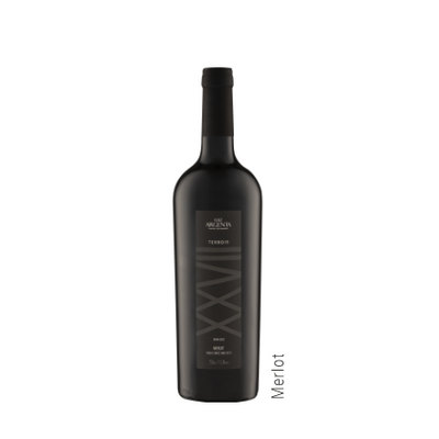 Vinho terroir merlot xxvii luiz argenta 750ml