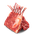 Carnes Exóticas