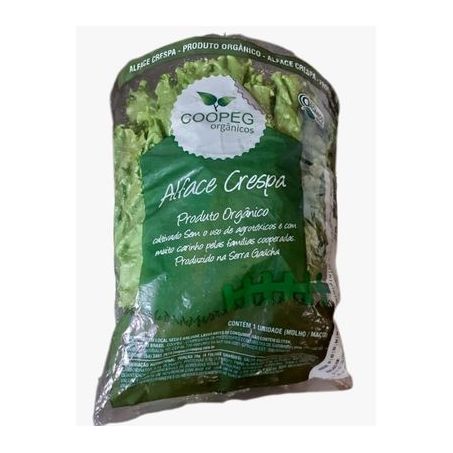 Alface crespa coopeg org un