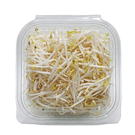 Broto De Feijão Moyashi Kg