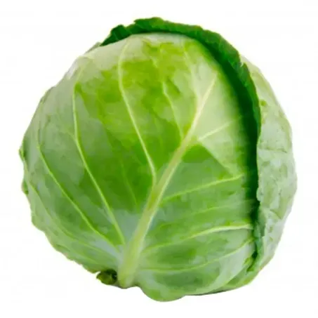 Repolho Verde Un 