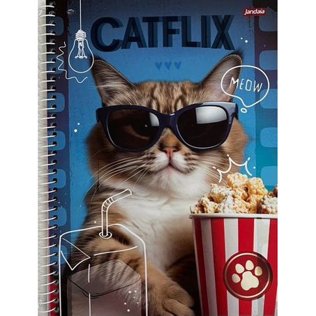 Caderno espiral universitario capa dura 1m pet 80fl