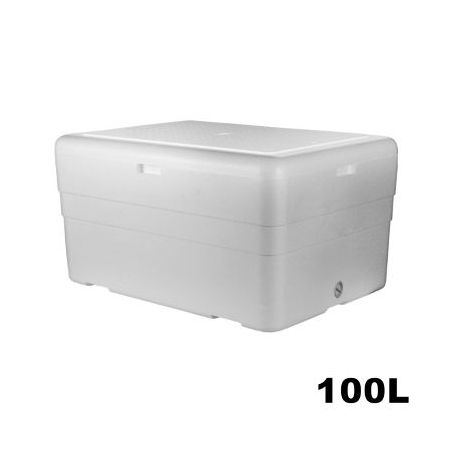 CAIXA TERM.ISOPOR 10