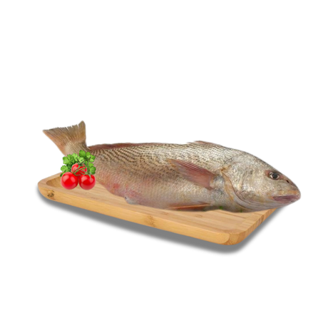 Corvina Inteira Kg