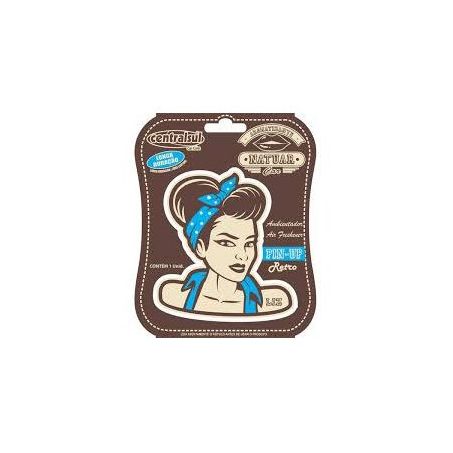 AROMAT CARRO CENTRALSUL LIZ RETRO UN