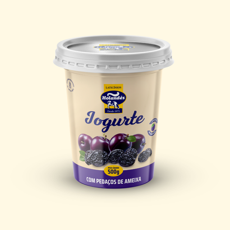 Iogurte holandes 500g pedacos ameixa integral