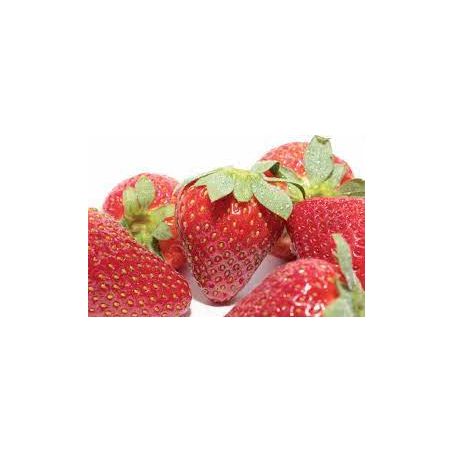 MORANGO RICHTER BDJ 500G
