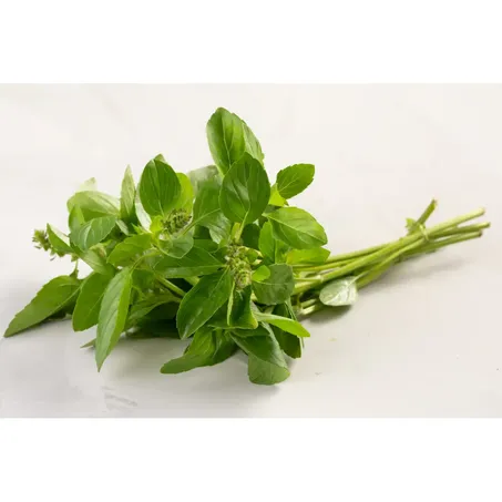 Manjericao 40g Sato