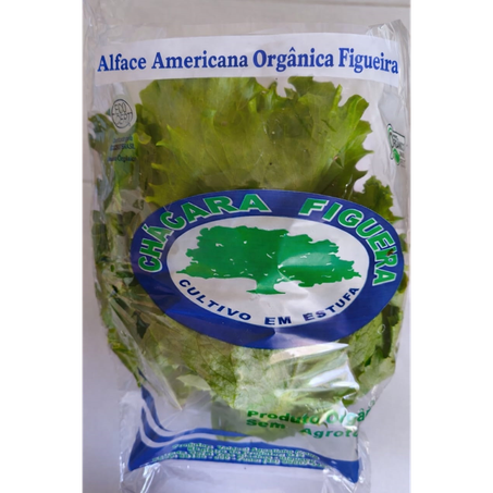 Alface Cachara Figueira America Orgânica