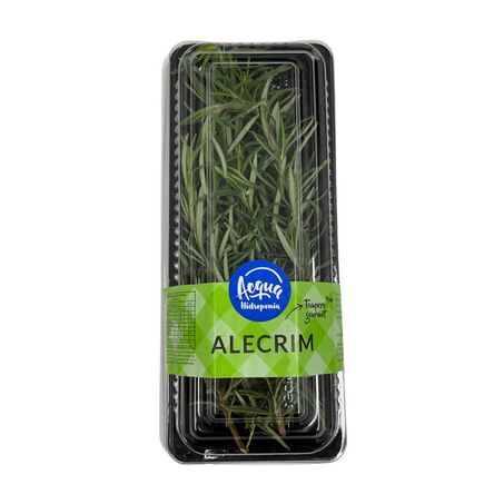 Hort acqua alecrim un