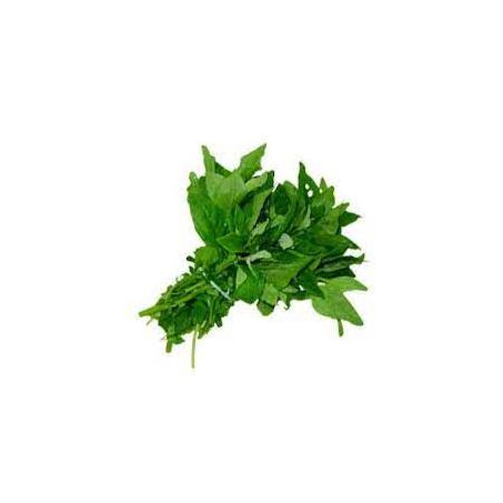 HORTI ESPINAFRE MAÇO