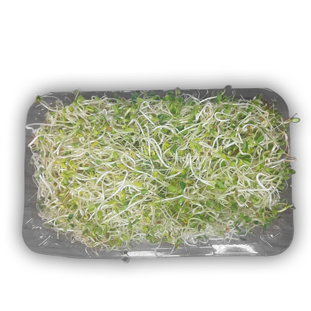 Brotos de Alfafa 125g 360-2