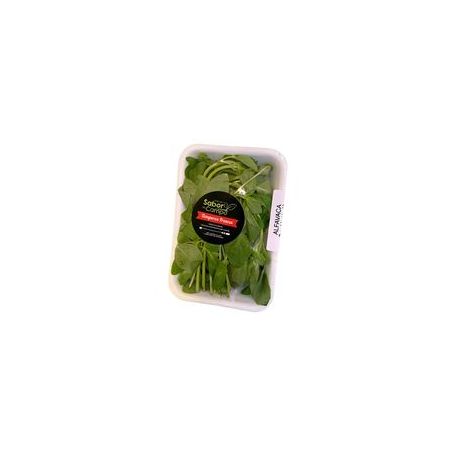 Sabor Campo Tempero 30g Alfavaca