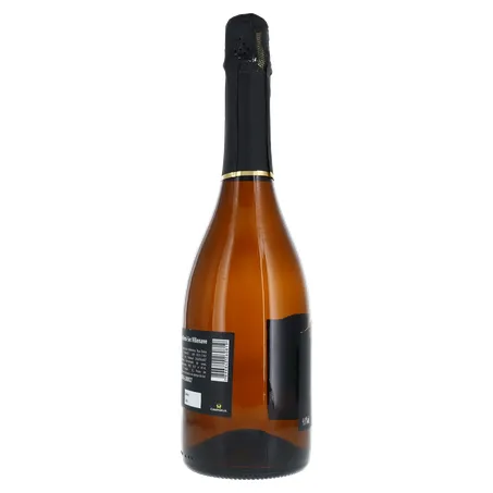 ESPUMANTE CHAMP SOLAIR DEMI SEC VILLENAVE GARRAFA 750ML 360-25