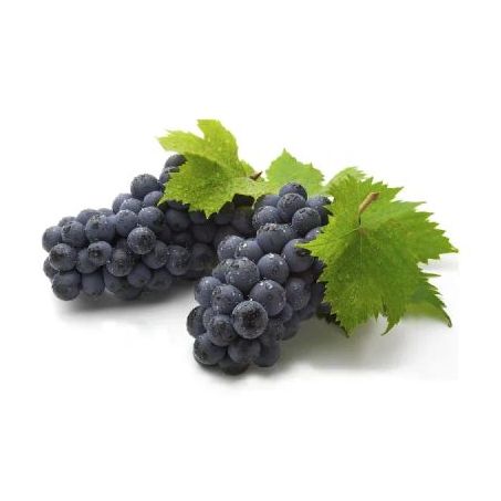 UVA FRUTA NO PE 500G EMB NUBIA
