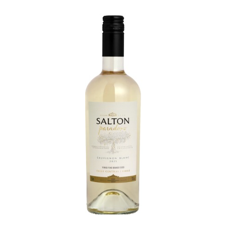 Vinho Branco Brasileiro Salton Paradoxo Sauvignon Blanc 750ml