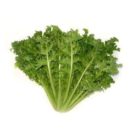 Chicoria Un Horta Arapongas