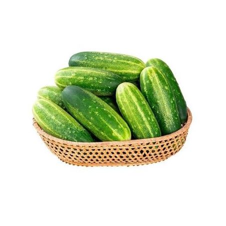 Pepino Caipira kg