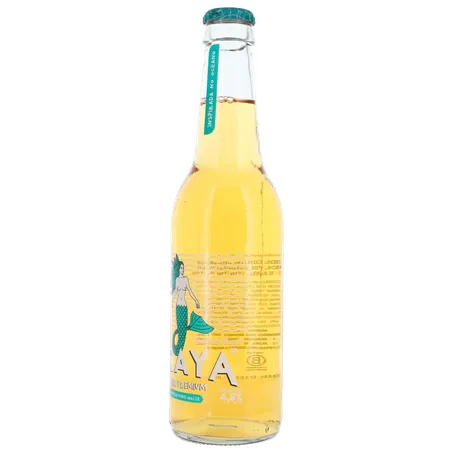 Cerveja Praya Lager Puro Malte Long Neck 355ml 
  360-5