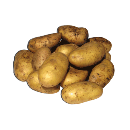 Batata suja kg