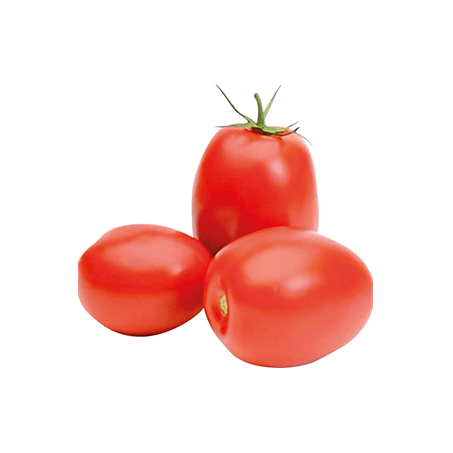 TOMATE RASTEIRO KG