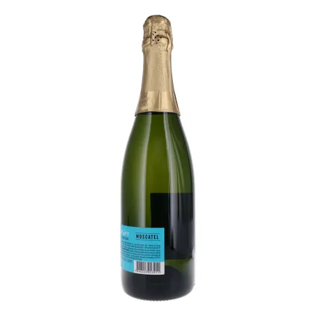 ESPUMANTE SALTON SERIES MOSCATEL 750ML 360-22