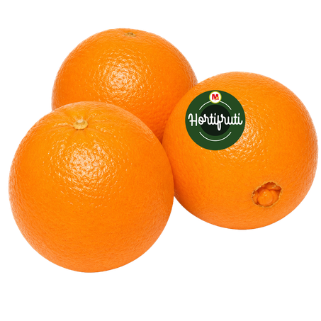 LARANJA BAHIA UMBIGO