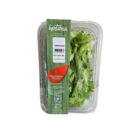 HORTARIA HIGIENIZADA ALFACE AMERICANA 100G