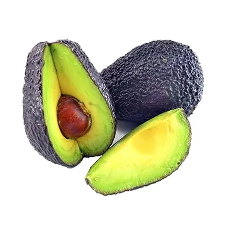 ABACATE AVOCADO IMPORTADO KG