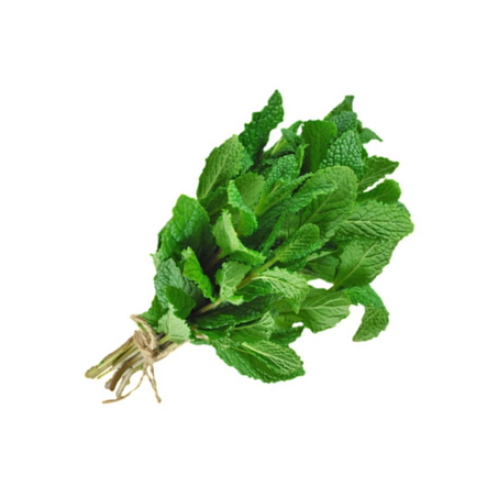 HORTELÃ FRESCA MOLHO UNID