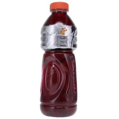 Isotônico Uva Gatorade Garrafa 500ml 360-29